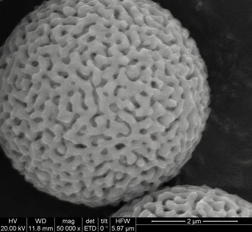 Silica gel is an adsorbent like the ones used in solid direct air capture. A silica gel sphere under the electron microscope. It shows that while to the human eye perfectly spherical, the silica gel sphere actually are porous structure. Through all the cavities which stretch through the whole volume, surface area is strongly increased.